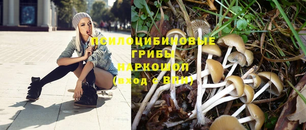 индика Абинск