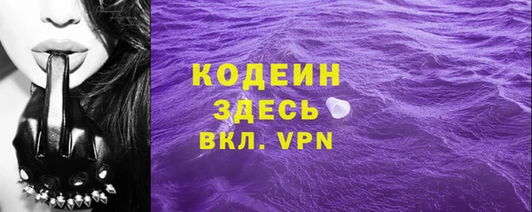 индика Абинск