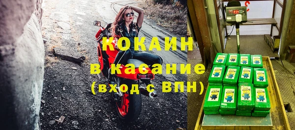 индика Абинск