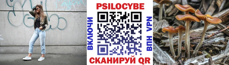 Псилоцибиновые грибы Magic Shrooms  Талдом 